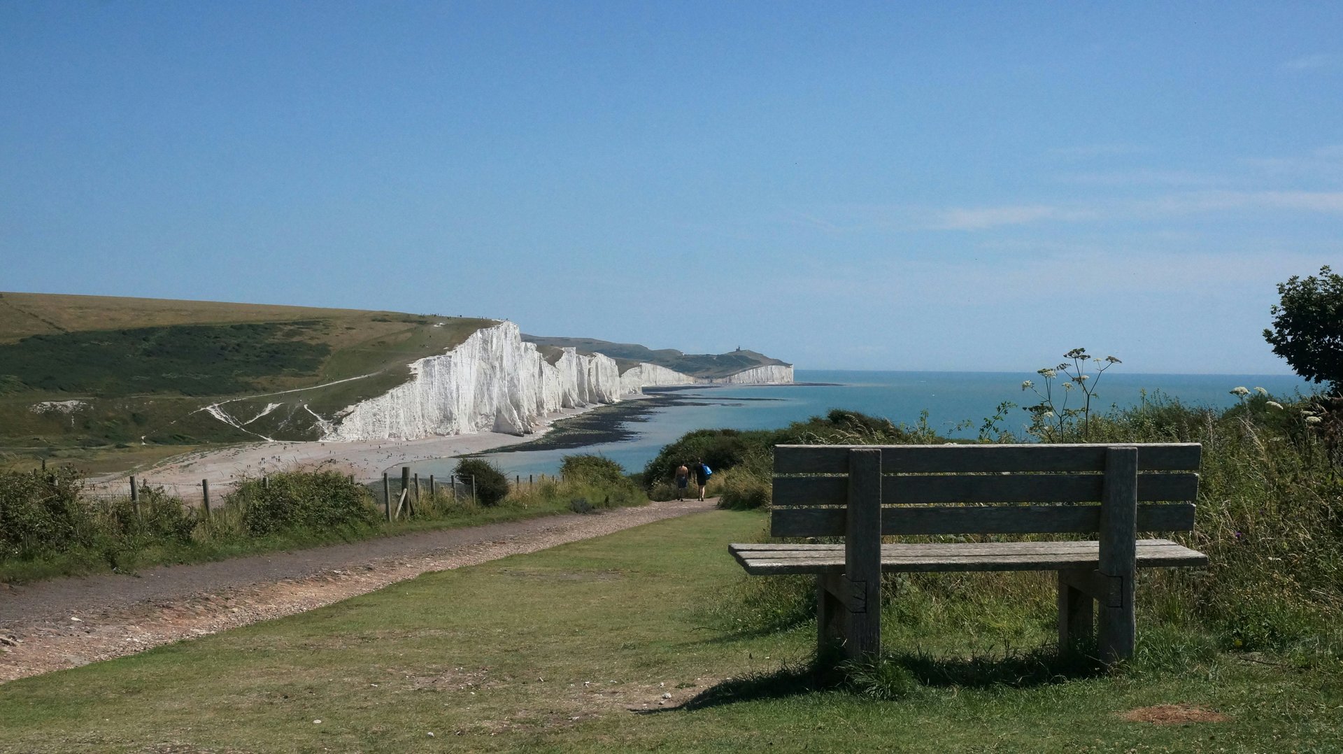 A wooden bench on a lush green field